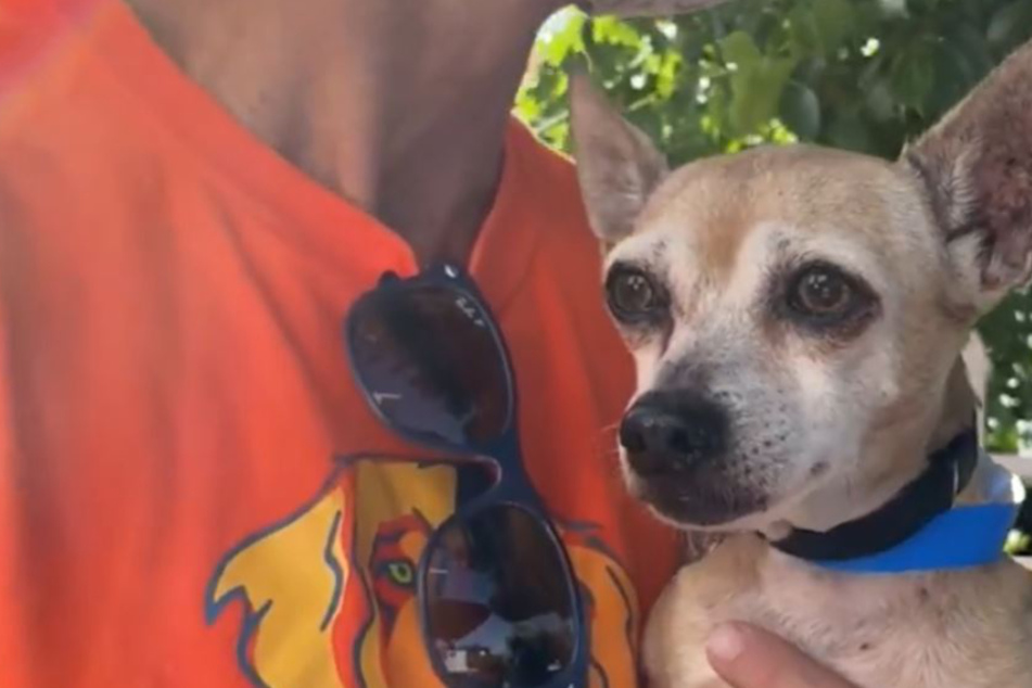 Texas family misses their vanished dog for six years, then they get a call