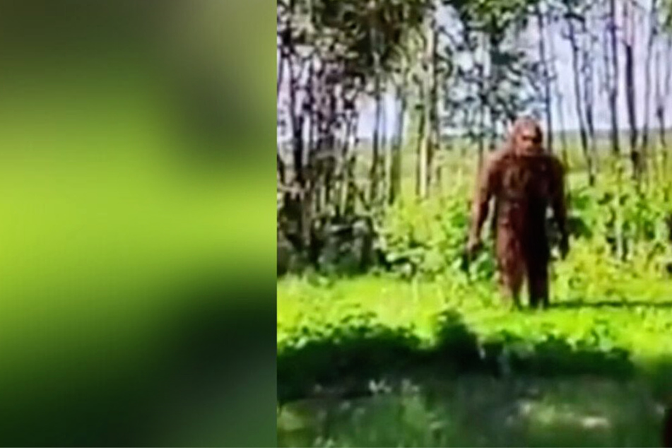 Did someone just discover Bigfoot on Google Earth?