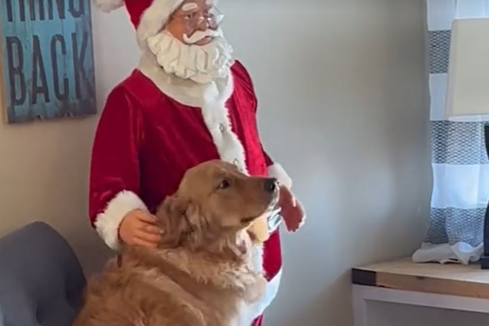 When Santa "refuses" to pet him, Arlo the dog simply pushes his back under his hand.