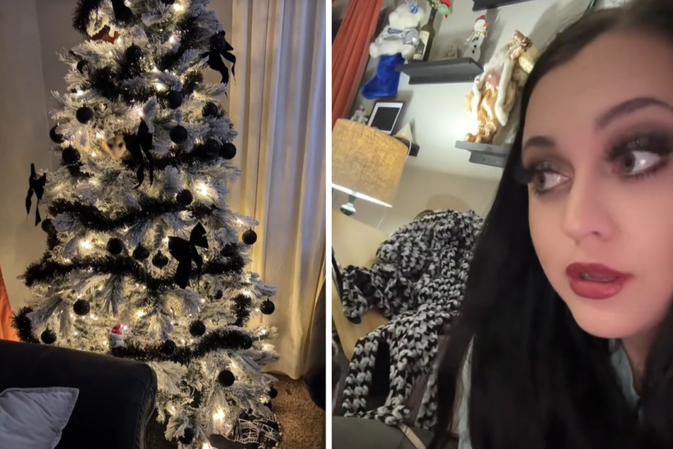 Woman hears strange noise from Christmas tree and is shocked by furry discovery!
