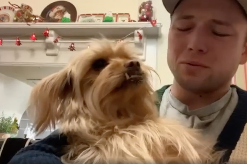 Taron Egerton posted a short clip of himself and his dog.