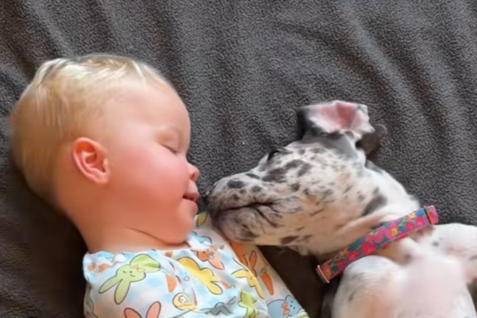 Noah and Millie have been one heart and one soul since day one.
