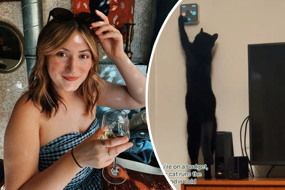 Cat owner wants to save on heating costs – but her kitty has other plans!