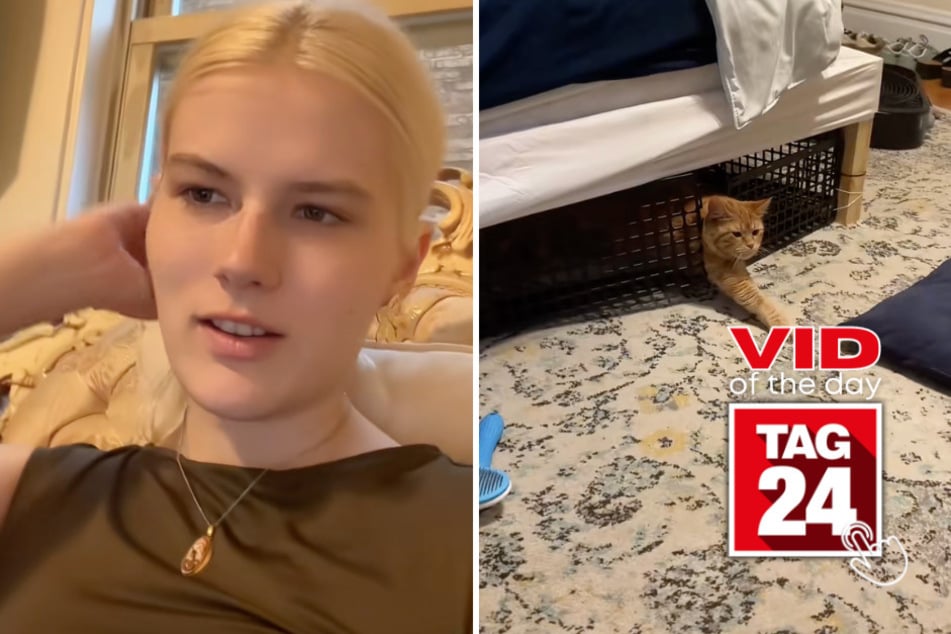 Viral Video of the Day for July 27, 2026: Woman does the unthinkable to coax terrified cat out of hiding during a storm