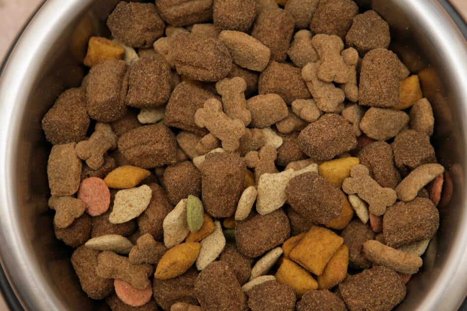 The mold can be found in dry dog food (stock image).