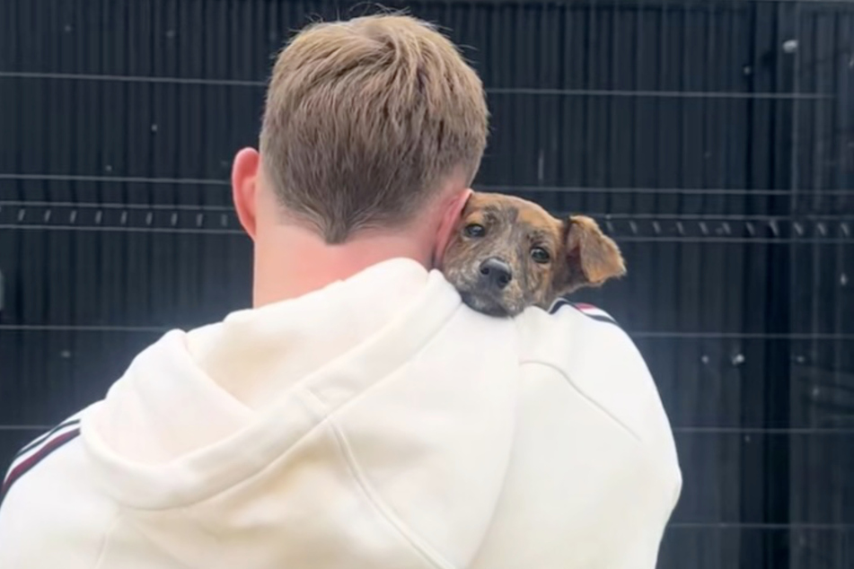 When they met again, Diesel the dog didn't want to part from Chloe's boyfriend.