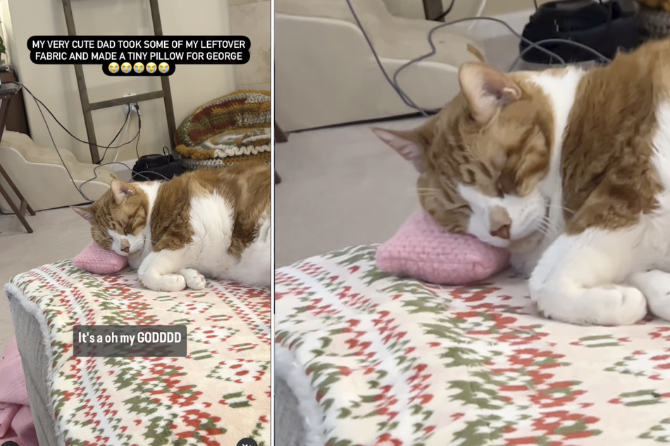 George immediately fell asleep on his new tiny pillow.