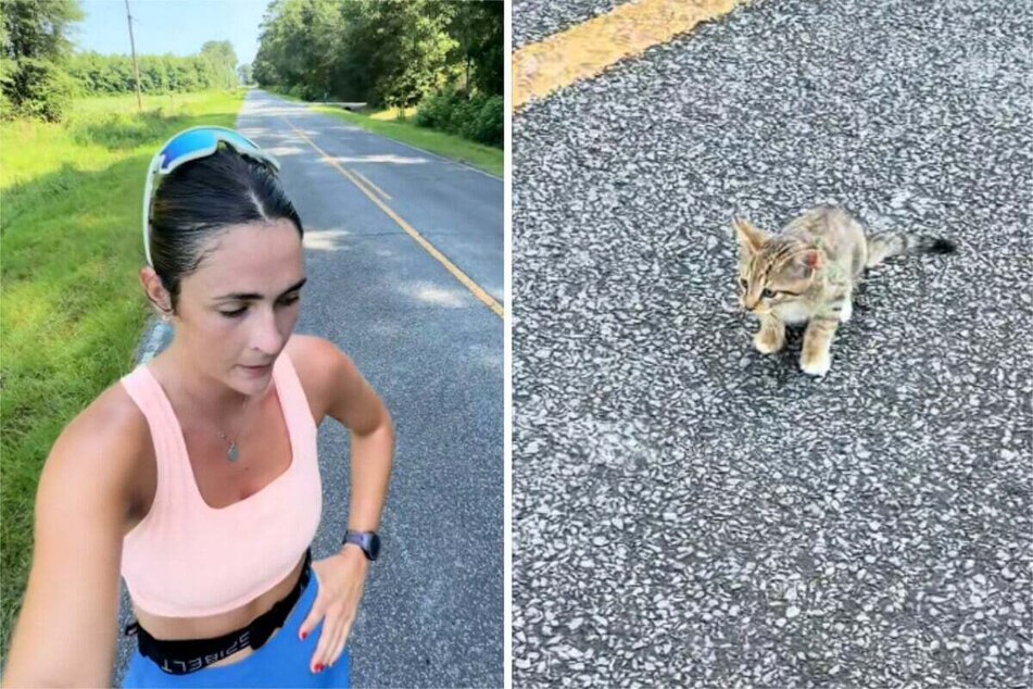 Jogger stumbles upon adorable kitten in unexpected rescue!