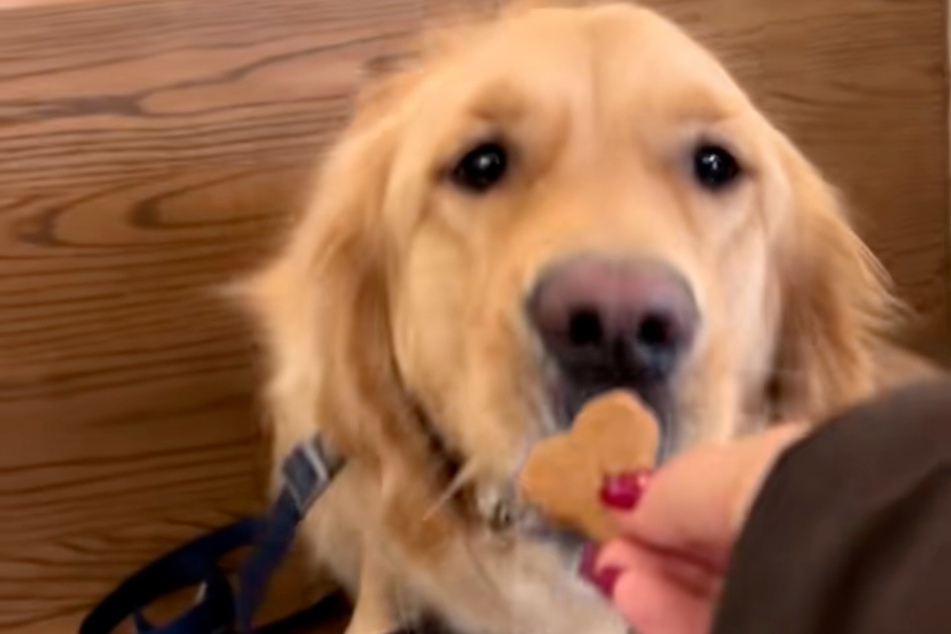 Charlie finally got the treat he was hoping for in the end.