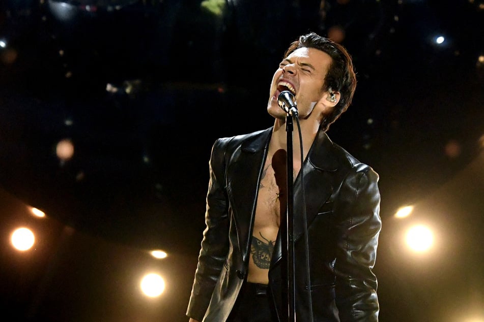 Fans are divided as to whether Harry Styles would be a good fit for the Super Bowl LVIII halftime show.