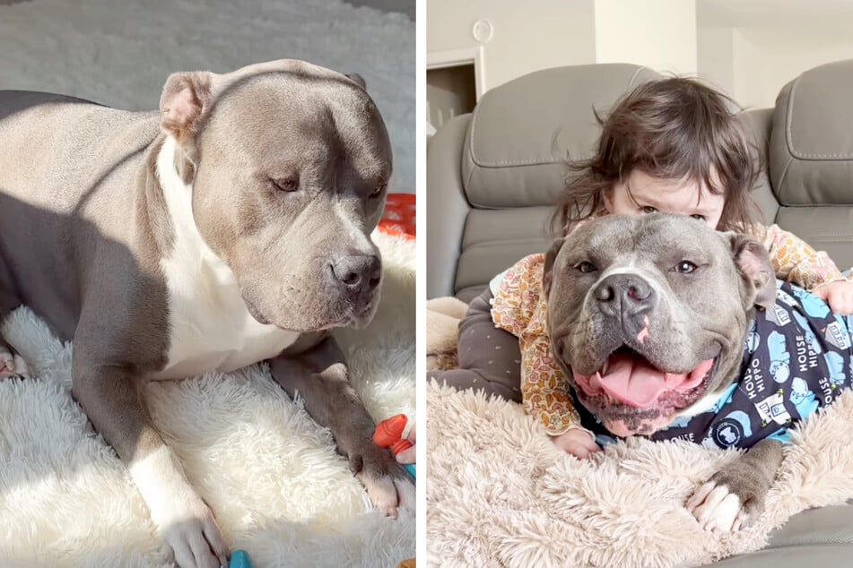 Amelia and Hippo have known each other since the little girl was born. Now, mom Chulpan Valishina says they're total "besties."
