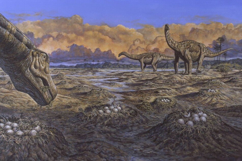 Dinosaur surprise? Sacred stone in India reveals shocking find