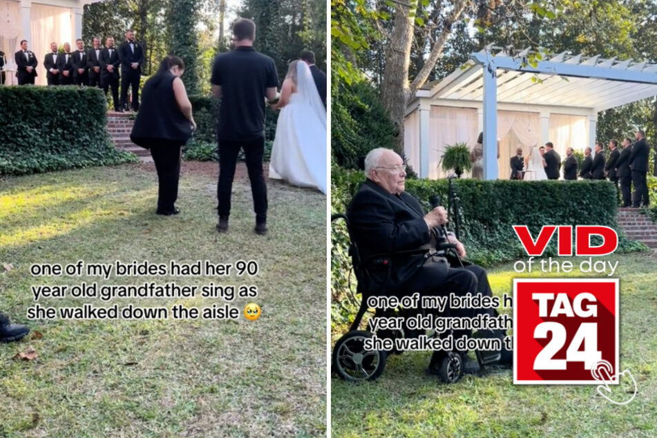 Viral Video of the Day for November 10, 2023: Bride's 90-year-old grandfather sings Elvis on her wedding day!