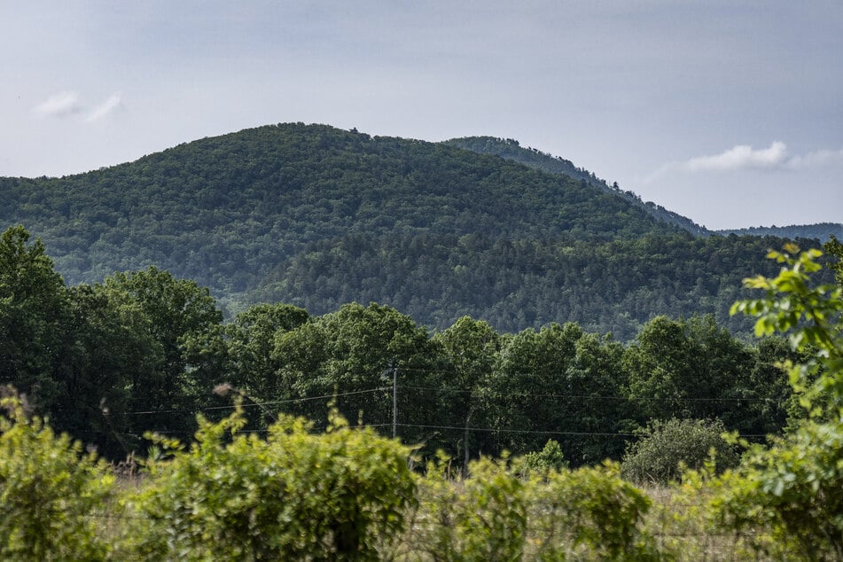 Pilot in Virginia plane crash reportedly slumped in his seat before tragedy