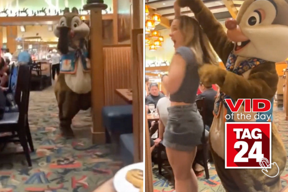 Viral Video of the Day for December 4, 2023: Chip and Dale bring all the rizz at character brunch!