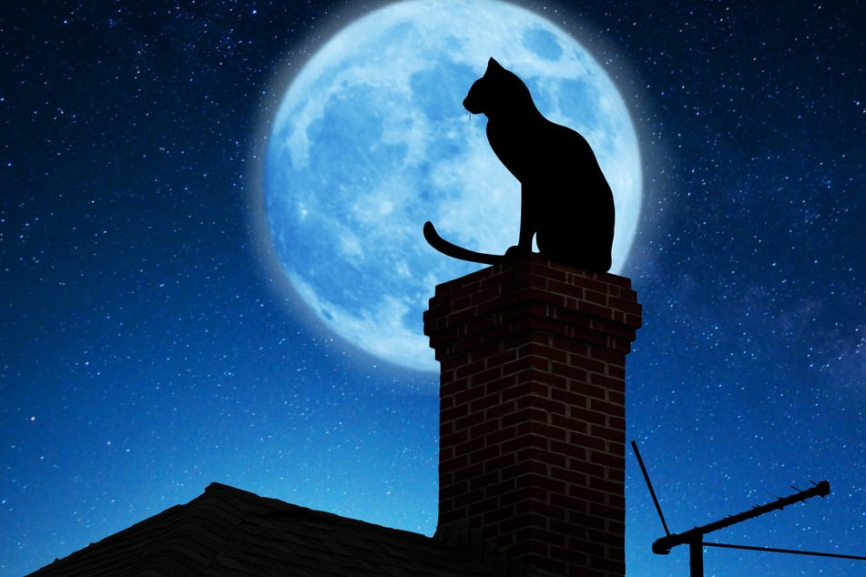 Today's horoscope: free horoscope for October 25, 2020