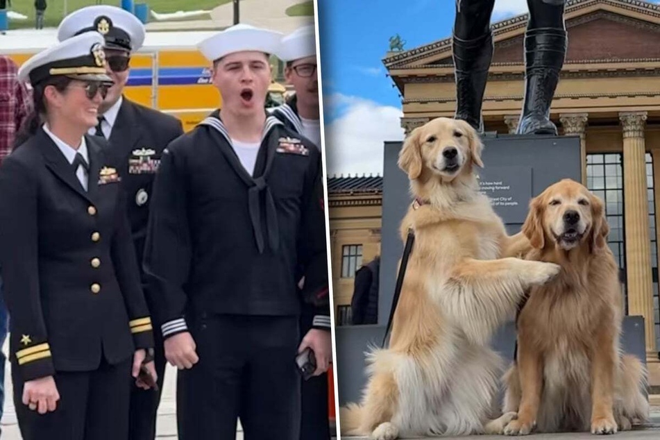 Even seasoned sailors are amazed at the cute dogs!
