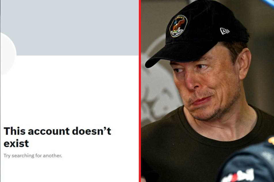 Elon Musk is purging Twitter accounts that have been inactive for too long
