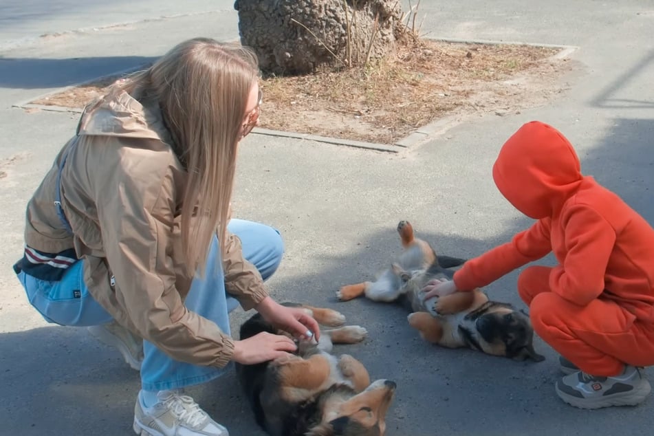 Boy has to make heartbreaking decision after caring for stray puppies