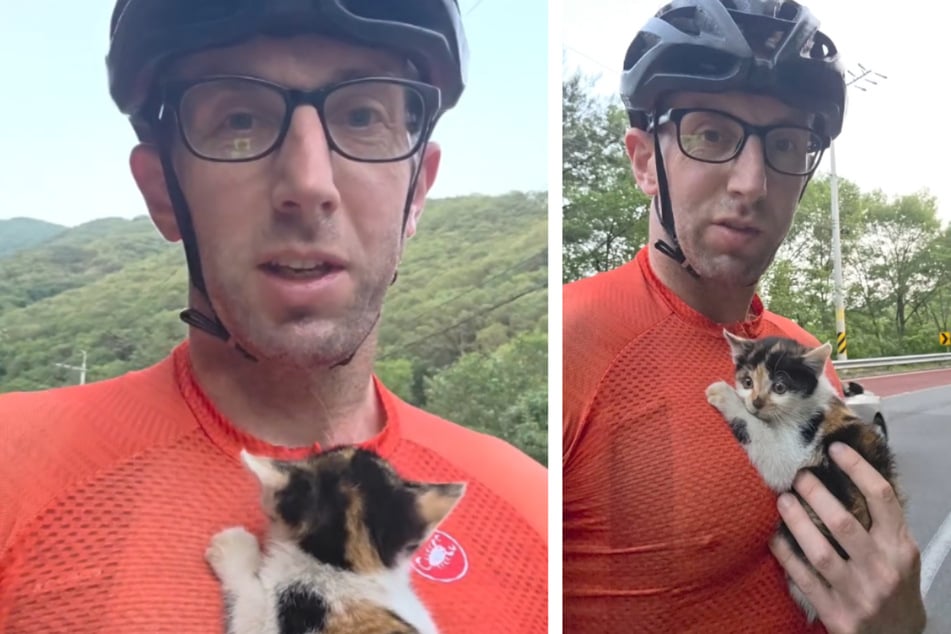 Cyclist spots terrified kitten alone on the side of the road and makes a decision: "She picked you"
