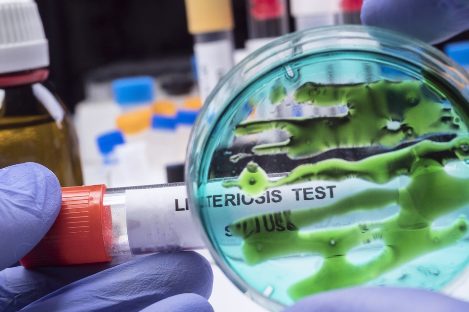 Listeriosis is particularly dangerous for people who are pregnant or have compromised immune systems.