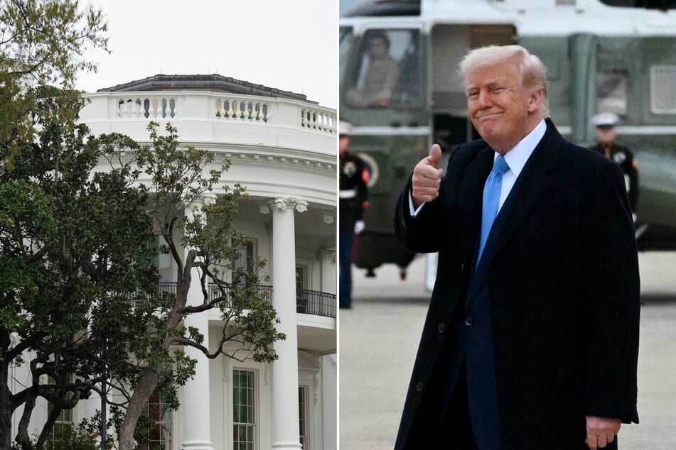 Donald Trump planted a new sapling to replace a nearly 200-year-old tree at the White House – dubbing it a "MAGAnolia" after his "Make America Great Again" slogan.