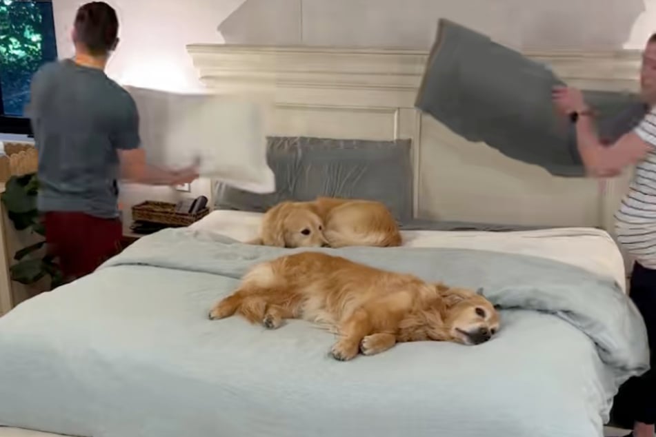 When Kevin and Katie Bubolz begin clearing the cushions, Emma and Ellie couldn't care less.