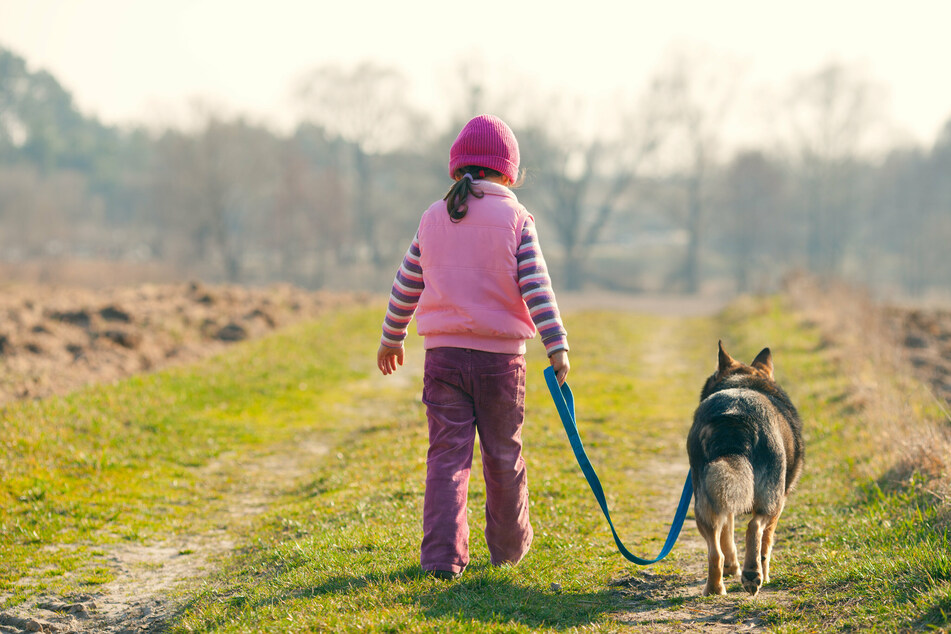 Daniel couldn't remember his daughter or the family dogs (iconic image).