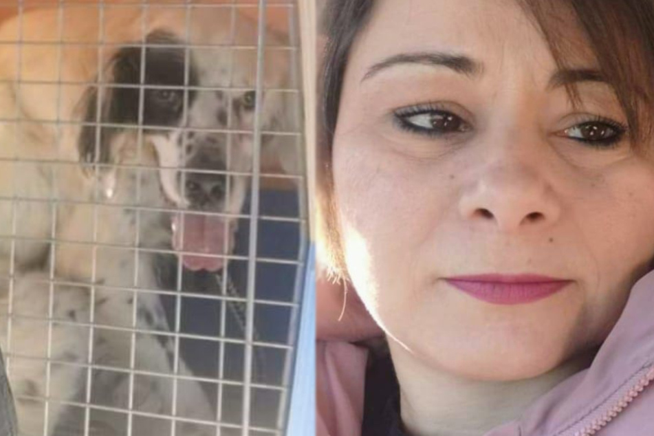 Animal shelter worker feels terrible for the dog she picks up