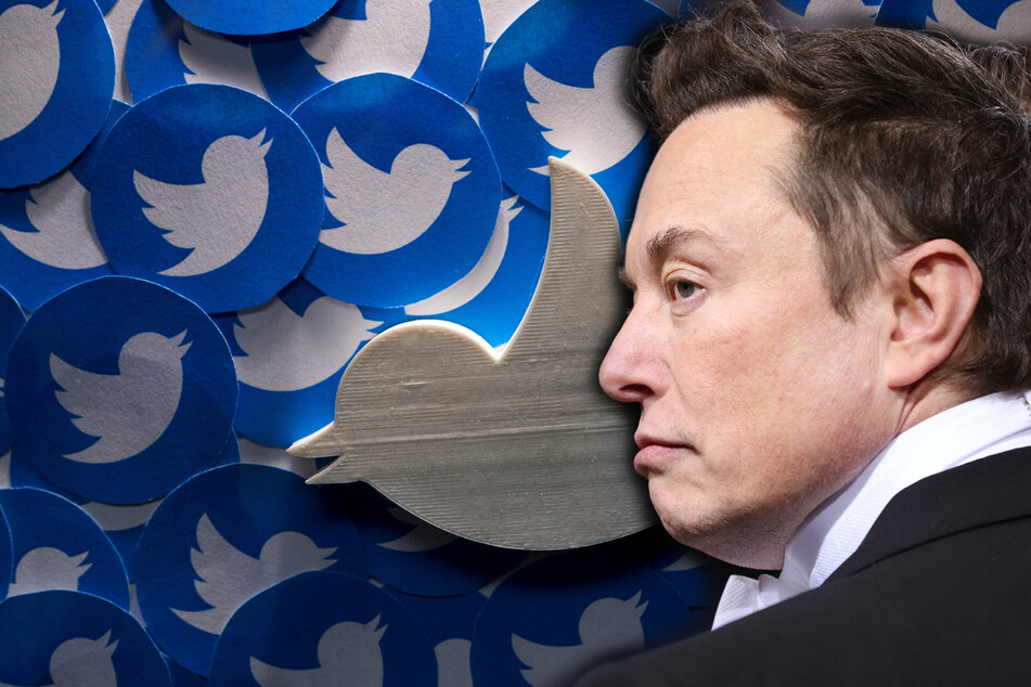Why Elon Musk's Twitter takeover is great news for the "worst people on the internet"