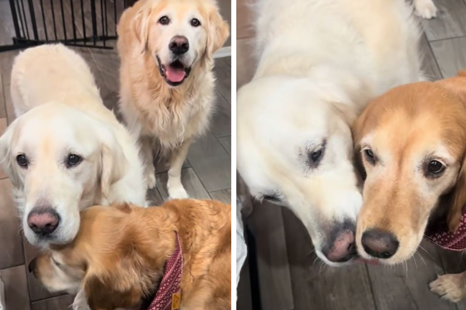 Sadie found a new zest for life after meeting her new siblings.