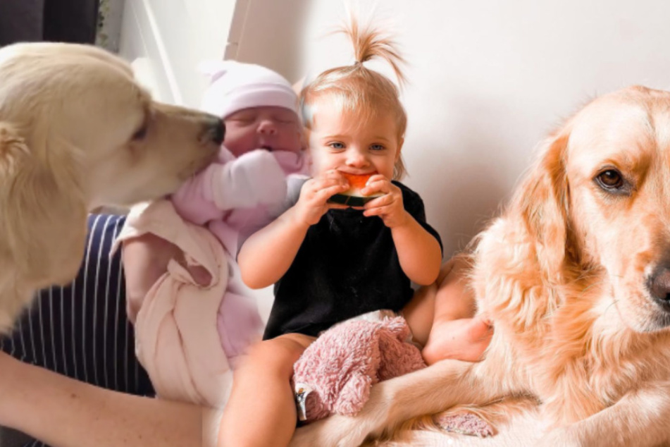 Dog and baby duo is sweeter than any chocolate bunny!