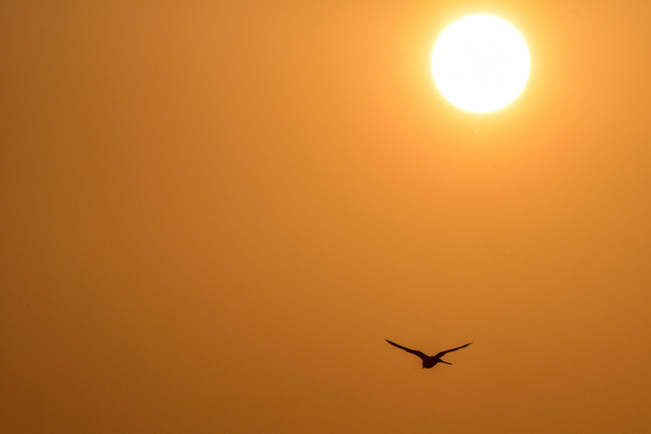 Though children and the elderly are most at risk, anyone can face negative health affects due to extreme heat.