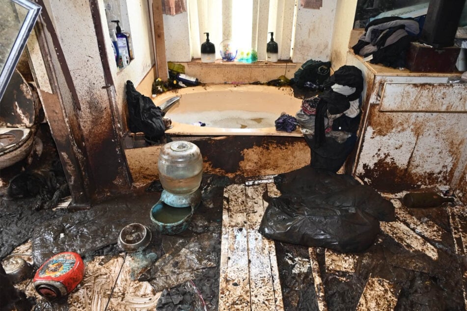 The entire home was completely covered in filth.