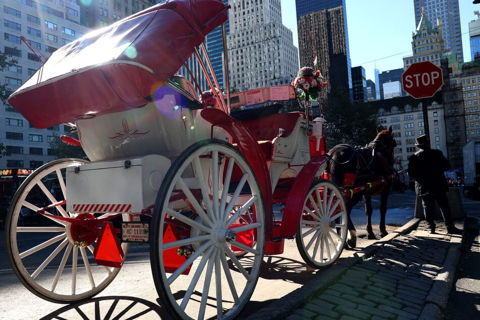 A horse-drawn carriage driver waits near Central Park for passengers, in New York City on October 19. The tradition has been under scrutiny after a deadly incident in June.