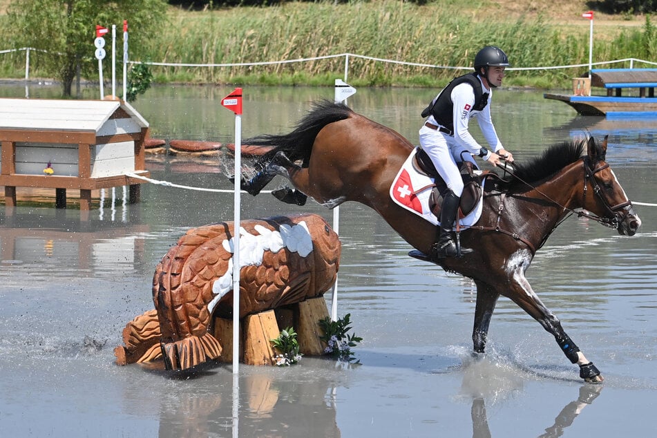 Horse euthanized at the Olympics after tragic competition injury