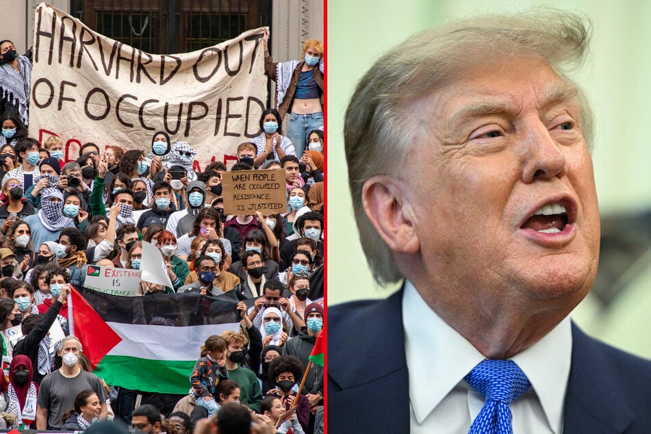Trump takes major legal hit as court sinks Harvard antisemitism case