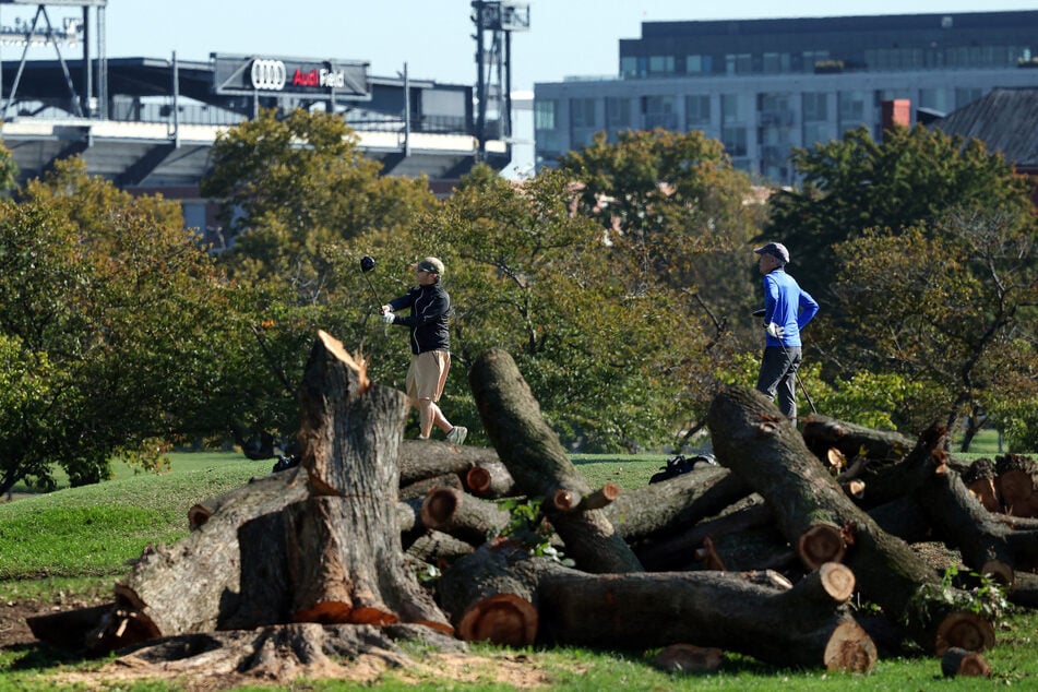 A golfer tees off near a pile of logs on East Potomac Golf Course on October 13 in Washington DC. Local golfers fear that Trump's proposed renovations could make the course unaffordable. 