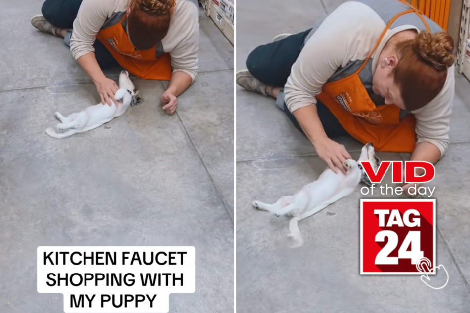 Viral Video of the Day for January 10, 2025: Hardware store worker shares adorable snuggle sesh with customer's dog!