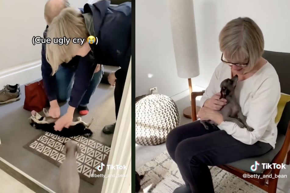 Due to a move to another continent, Grandma, Grandpa and the dogs had not seen each other for two years.