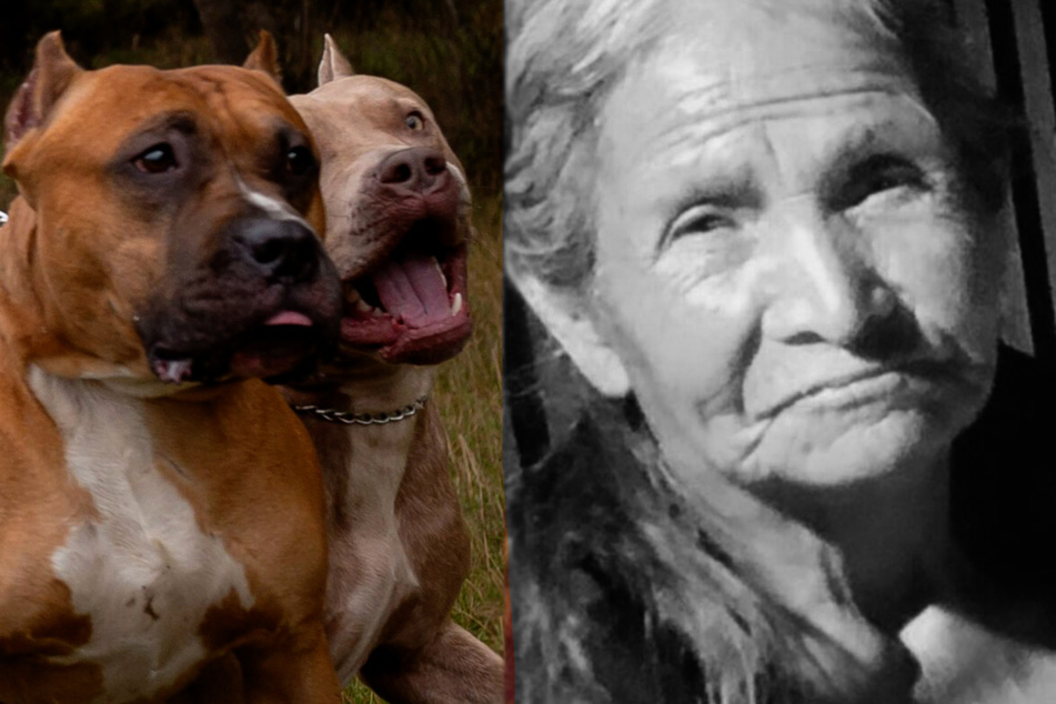 Phoenix woman mauled to death by dogs on her own front porch