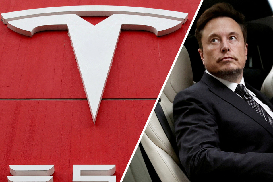 Elon Musk's bizarre Tesla-funded "glass house" under investigation