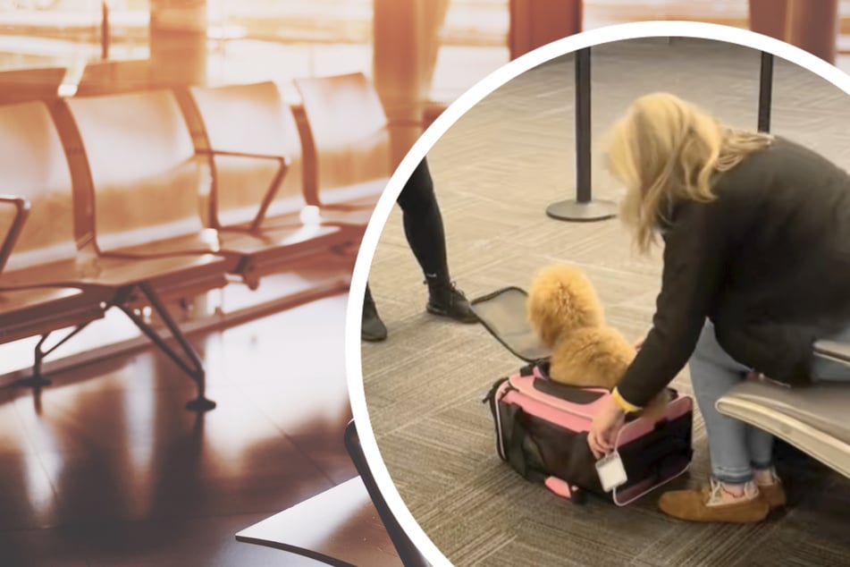 TikTokers are furious at this dog owner for what she does to her pet at the airport