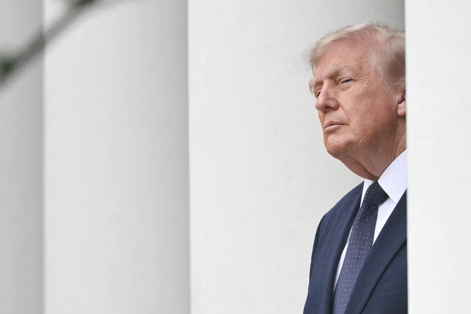 Two UN experts have condemned what they called the "mass arbitrary removal" of immigration judges in the US under President Trump.