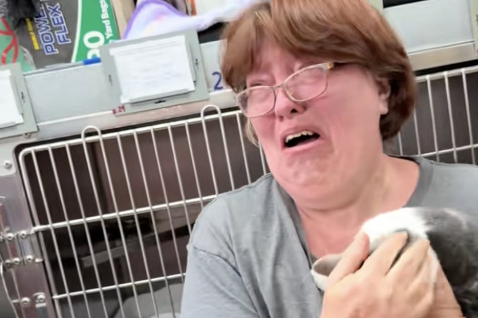 Woman visits cats at local shelter – and her sister's surprise brings her to tears!