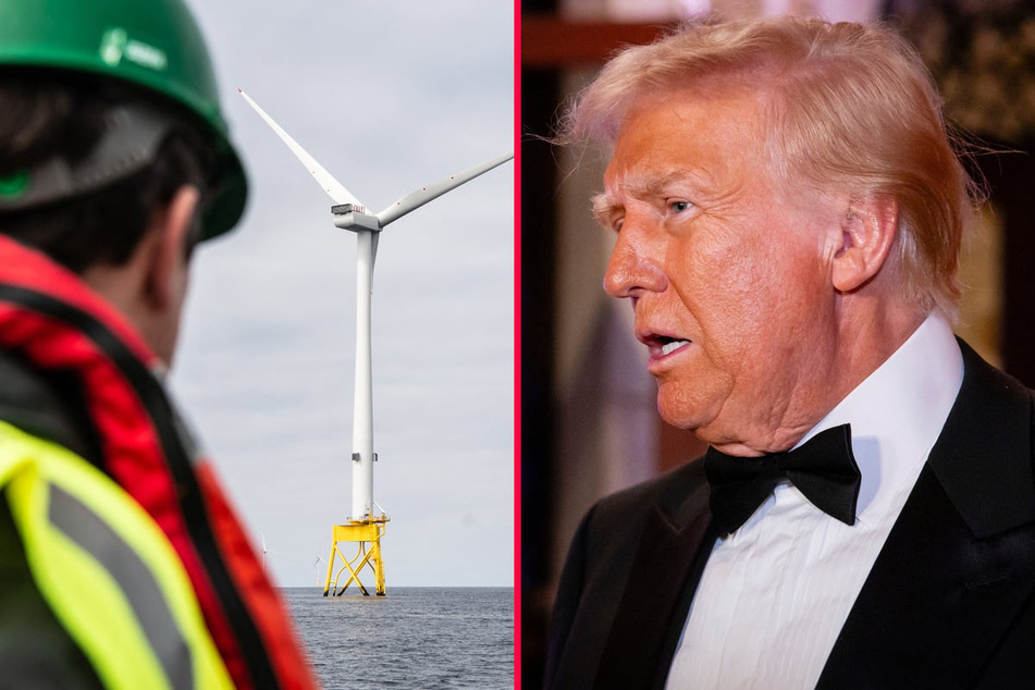 President-elect Donald Trump called for the UK to "open up the North Sea" and slammed its windfall tax on oil and gas companies.