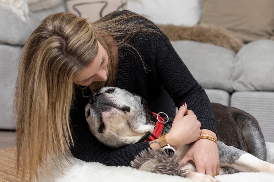 Anaphylaxis in dogs can be extremely dangerous, but what is it exactly?