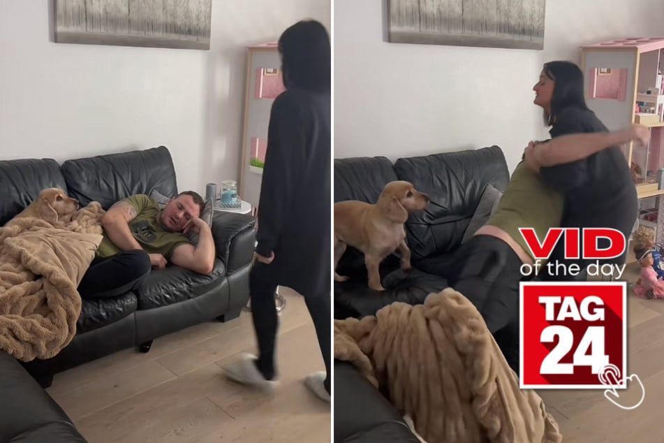 Viral Video of the Day for April 19, 2023: Dance party wake-up call