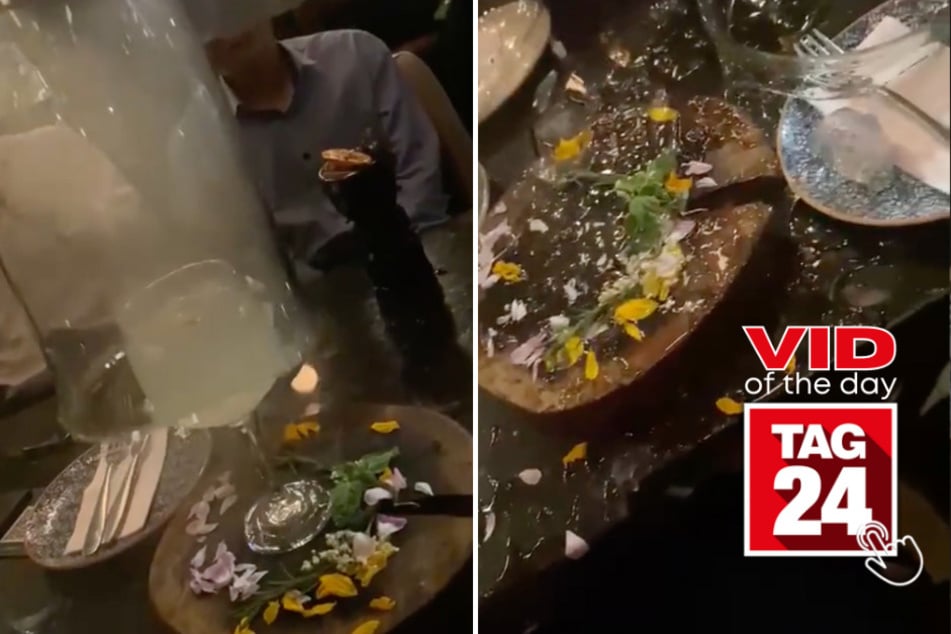 Viral Video of the Day for July 29, 2023: Luxury dining fail caught in viral TikTok clip!