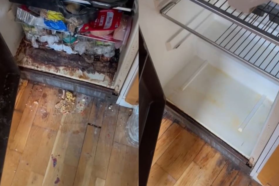 The fridge in question, on the left pictured before Aurikatariina's treatment, on the right afterward.